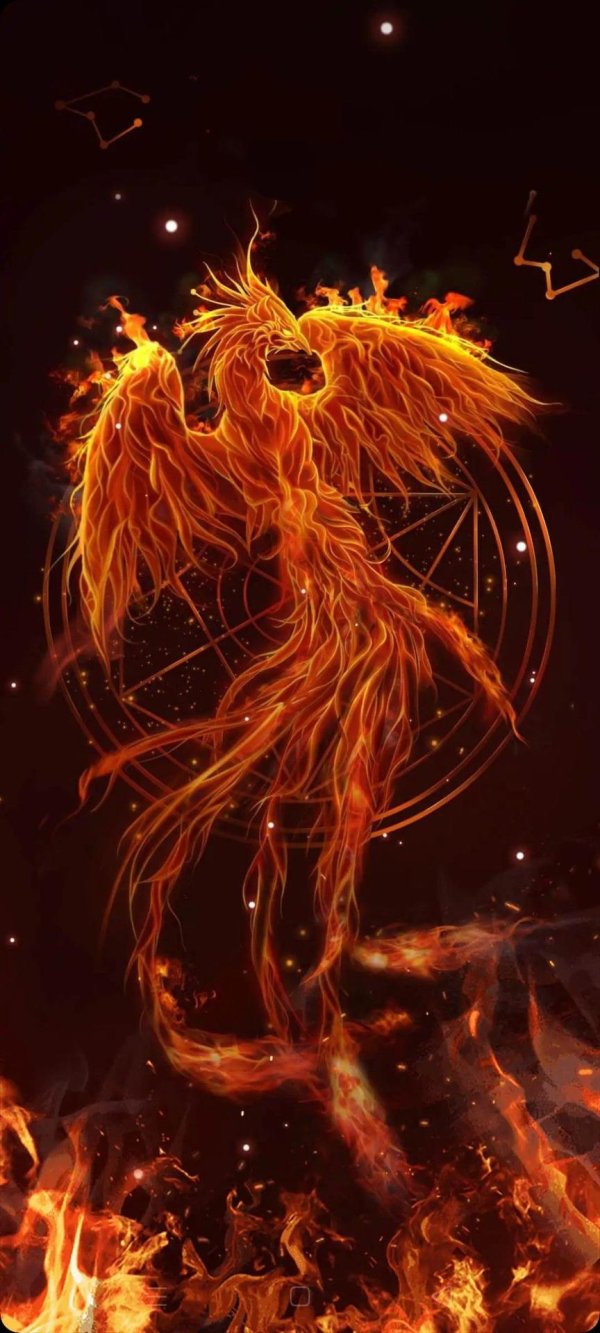 феникс огненный