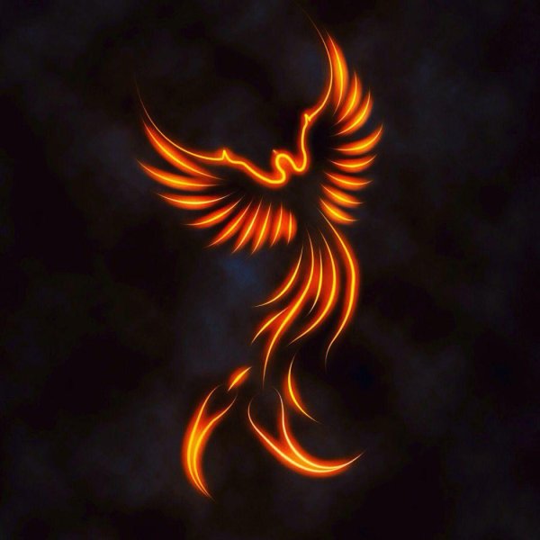 огненная птица