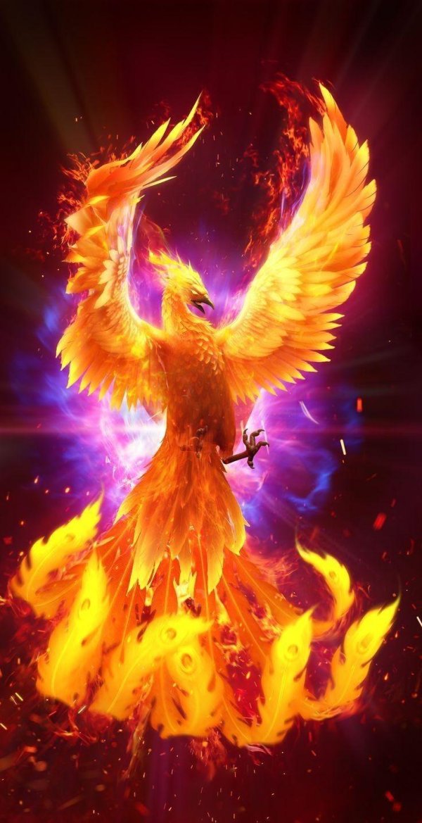 феникс фэнтези
