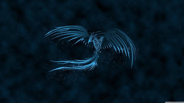 синий феникс