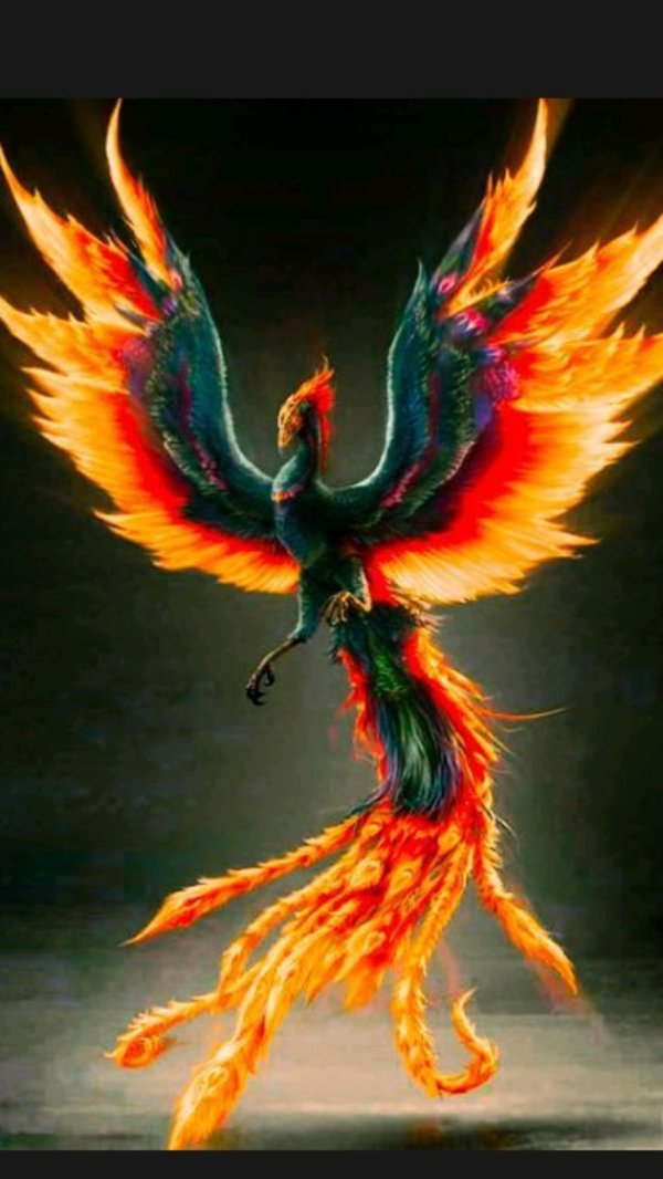 огненная птица