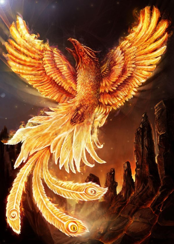 рарог сокол феникс финист