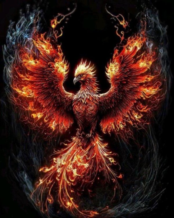 феникс в огне