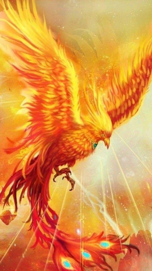 огненный сокол рарог