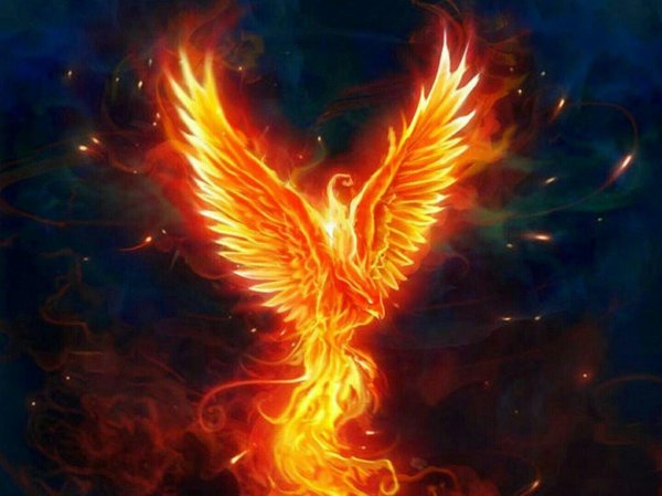 феникс огненный