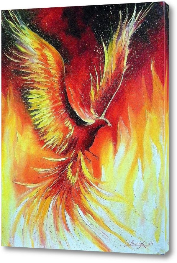 феникс анка