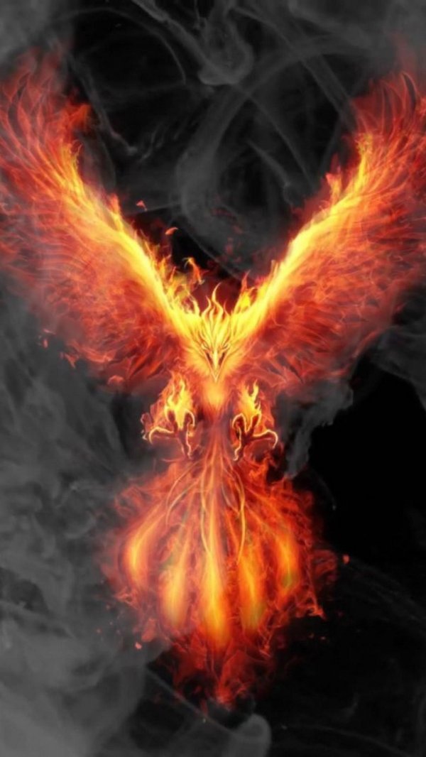 огненная птица