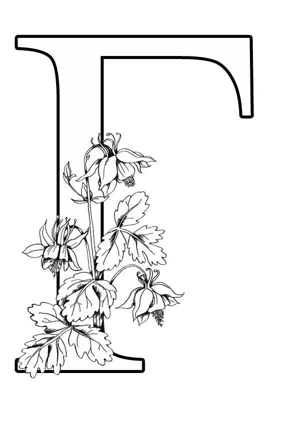 красивые буквы алфавита