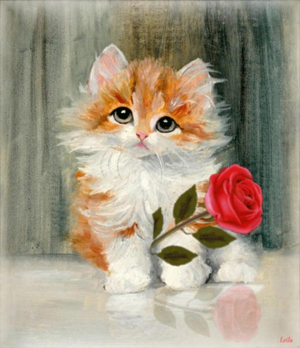 кот живопись шерстью