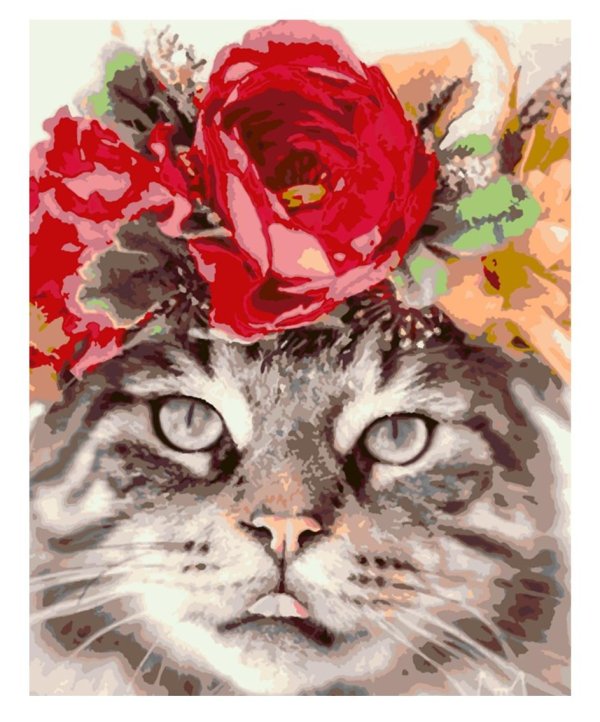 кошка красивая