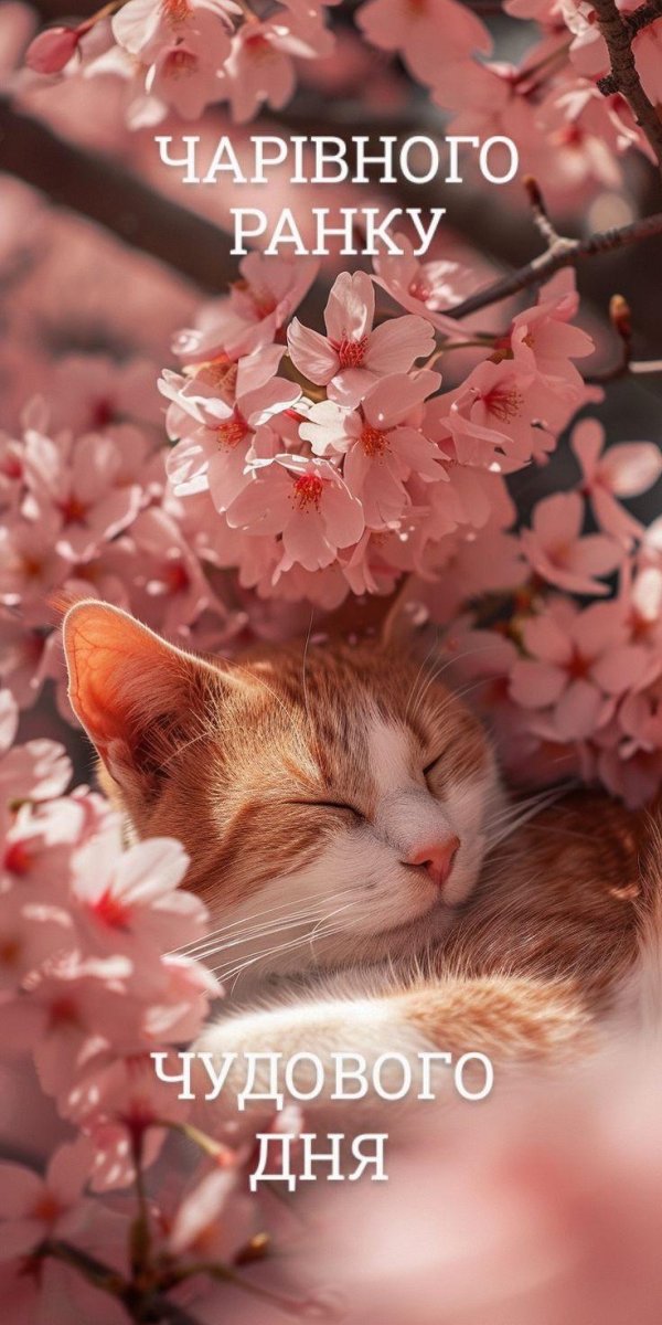 кошки весной