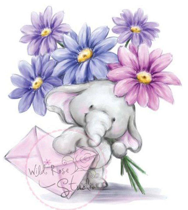 милый слоненок