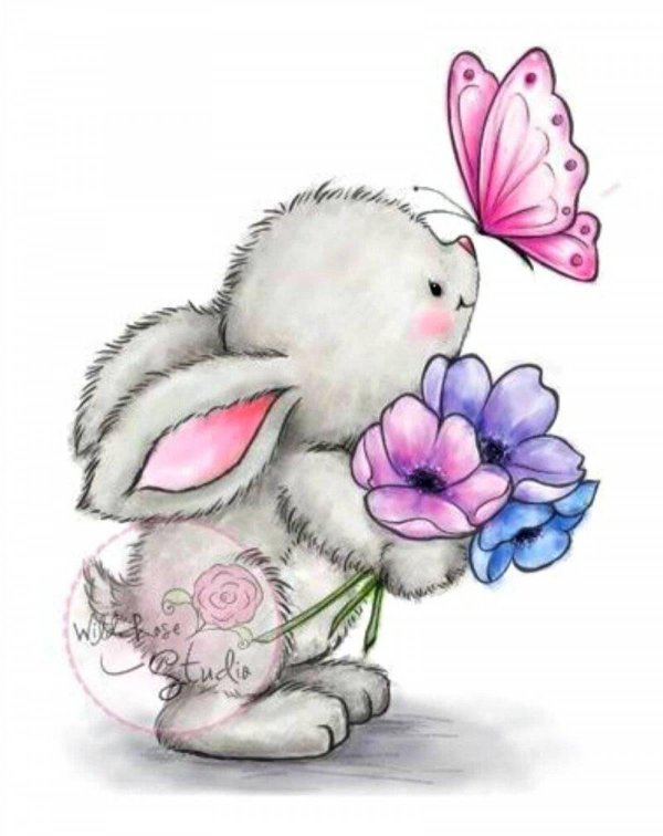 рисунки зайка