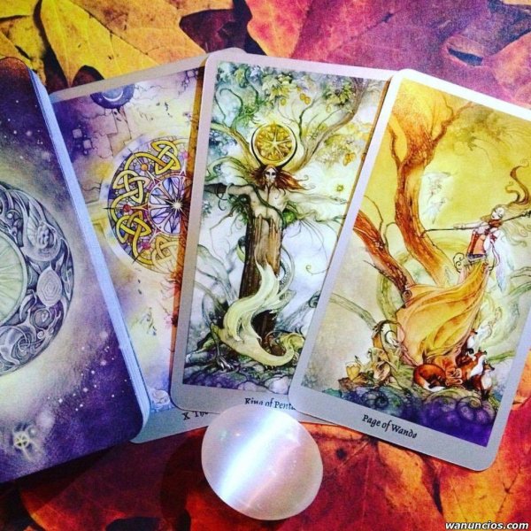 таро долины миражей