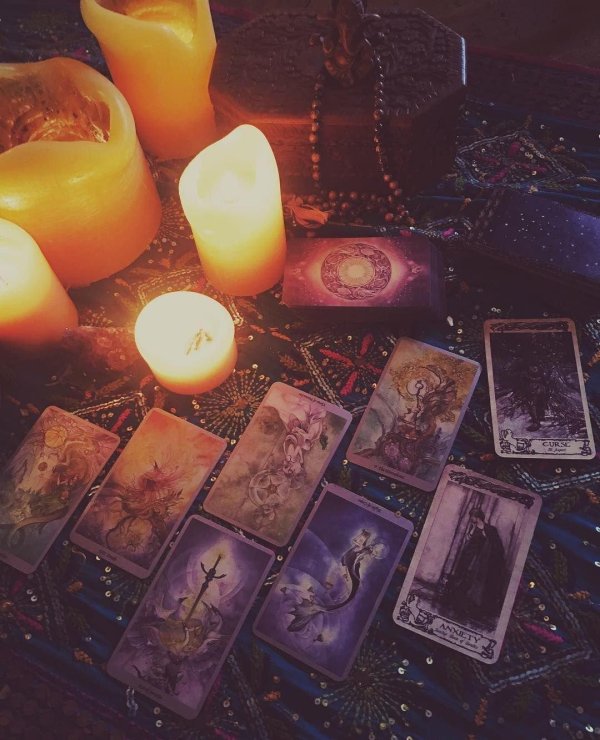 amadeya tarot таролог