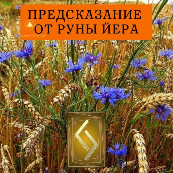 руны беркана