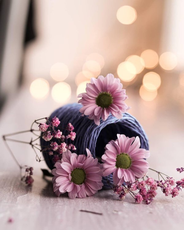 красивая цветок