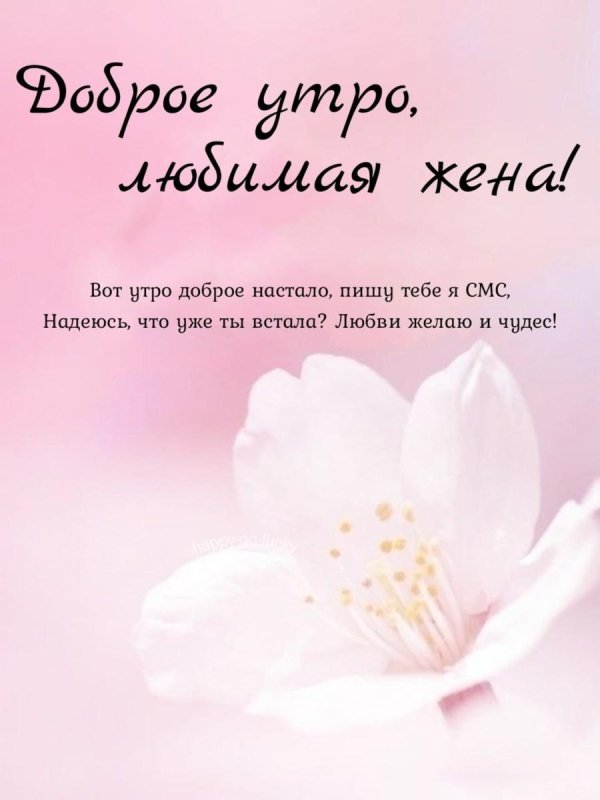 доброе утро для жены
