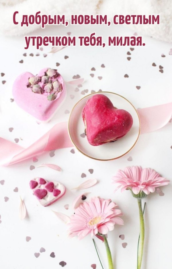 доброе утречко любимка