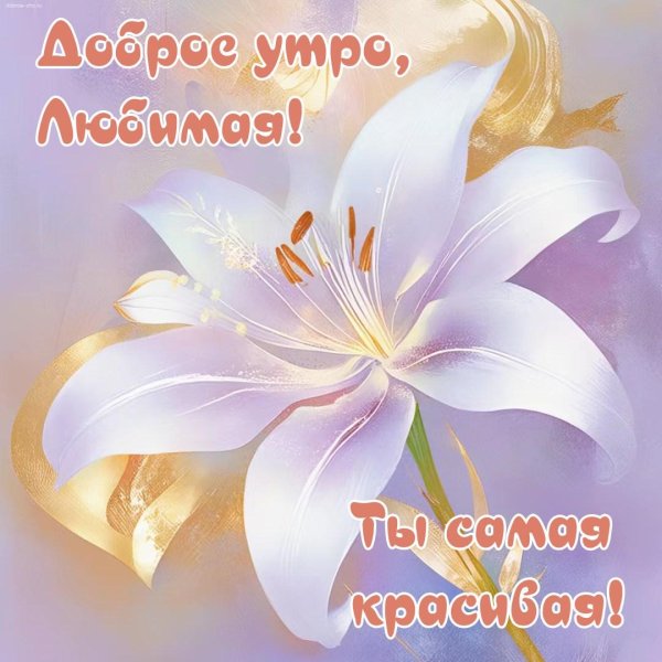 доброго утра любимая