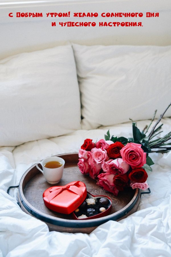 доброго утра любимая