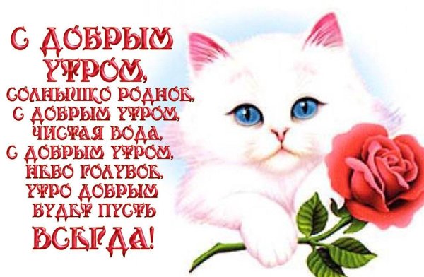 доброе утро любимая моя стихи