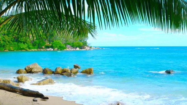 тропические пляжи