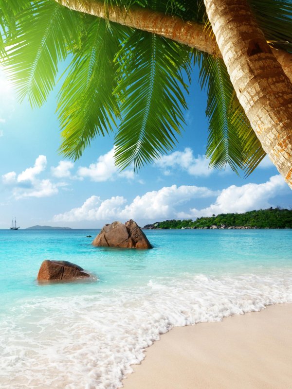 пальмы пляж