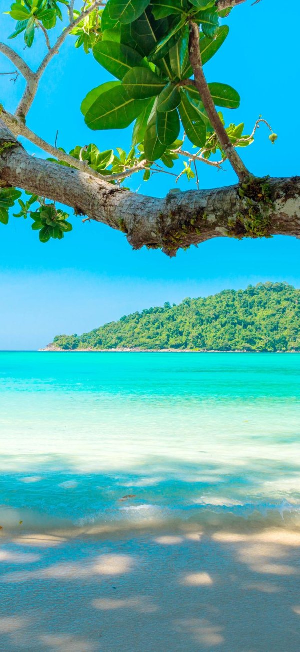 сурин остров таиланд