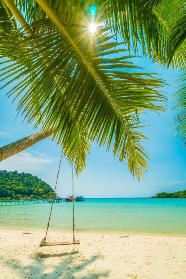 тропические пляжи