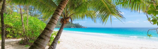 парадиз остров карибского моря