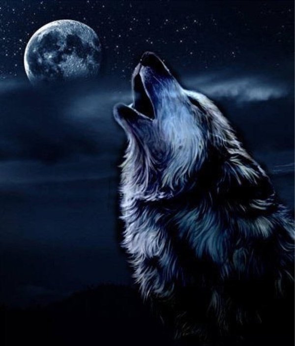 галактический волк