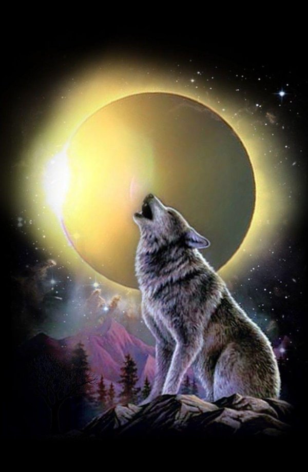 волчица воет на луну