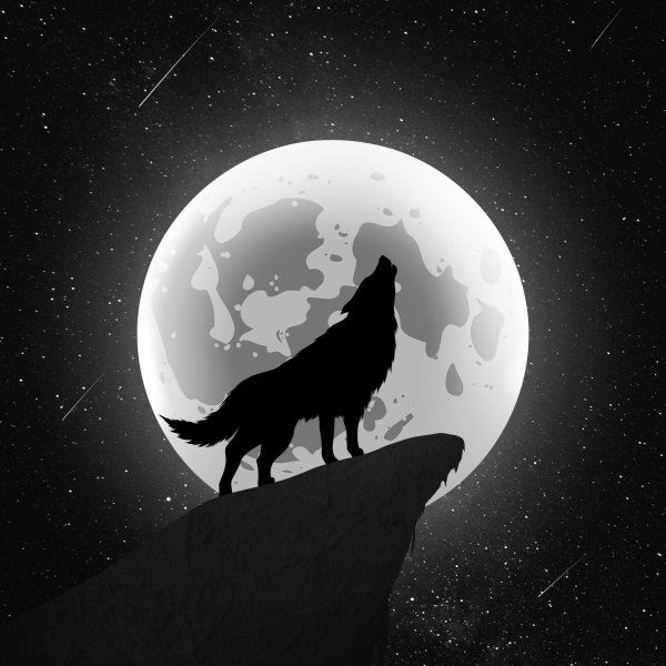 силуэт волка воющего на луну