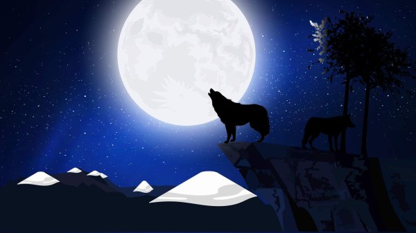 силуэт волка на фоне луны