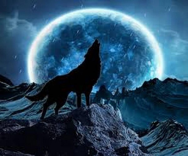 blue moon wolf