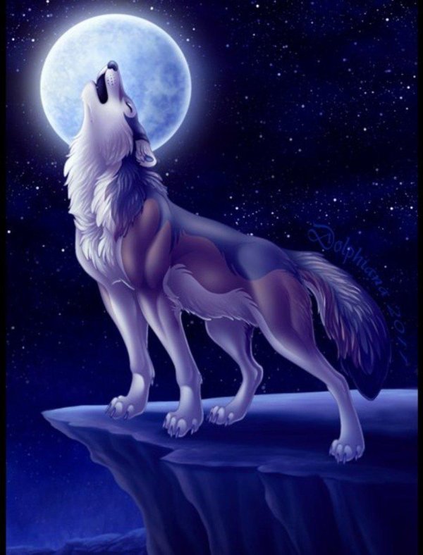 воющий волк