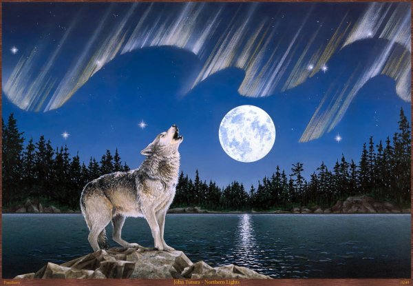 воющий волк