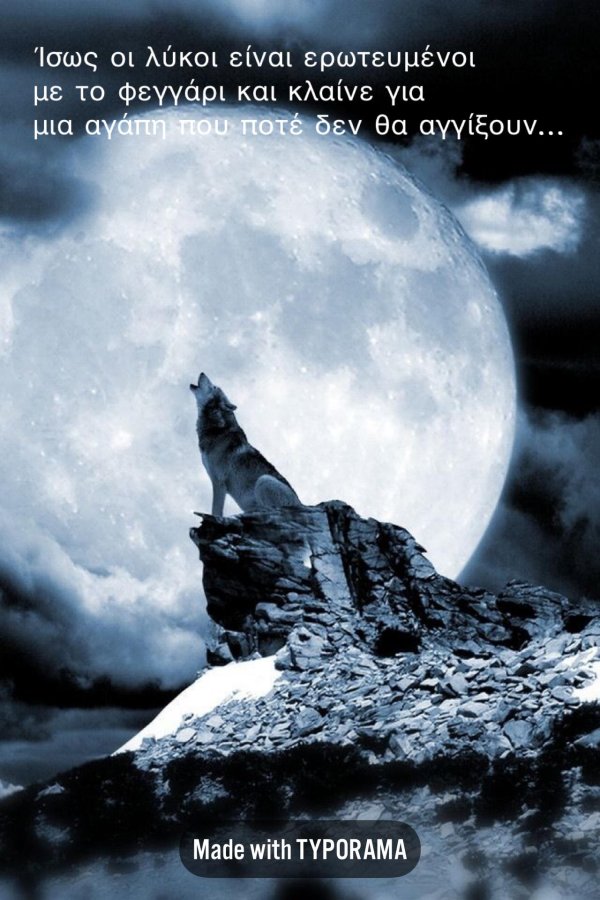 воющий волк