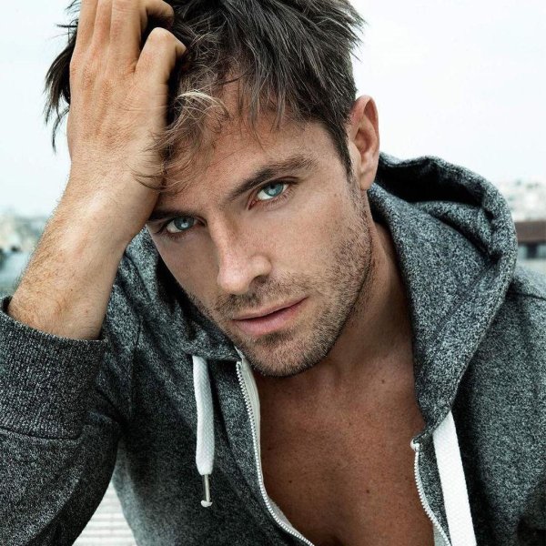 роб реа модель