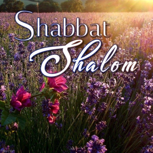 shabat shalom