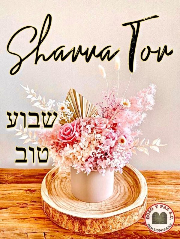 шавуа тов