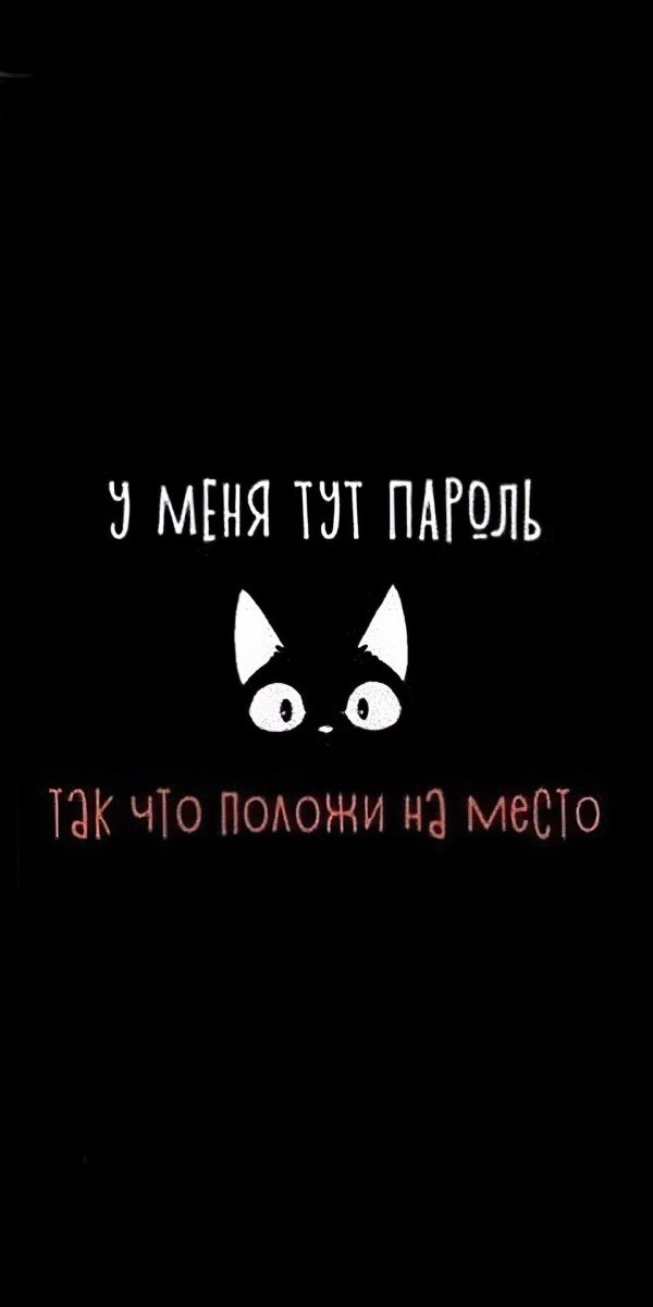 котики минимализм
