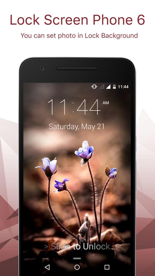 цветы природа