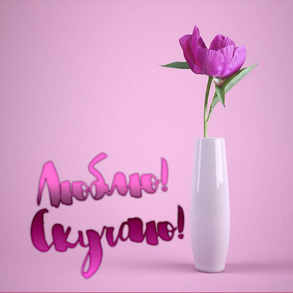 открытки со словами