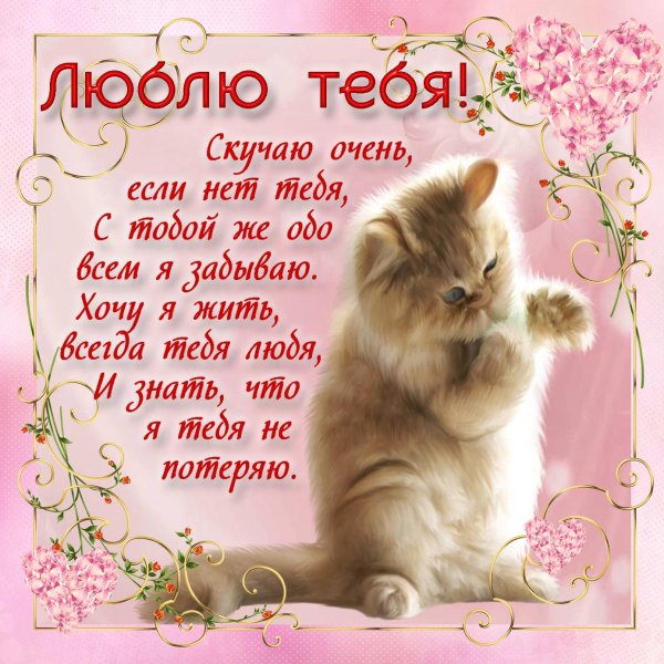 открытка любимой девушке