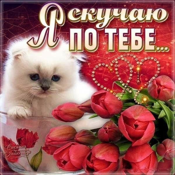 красивая открытка любимой