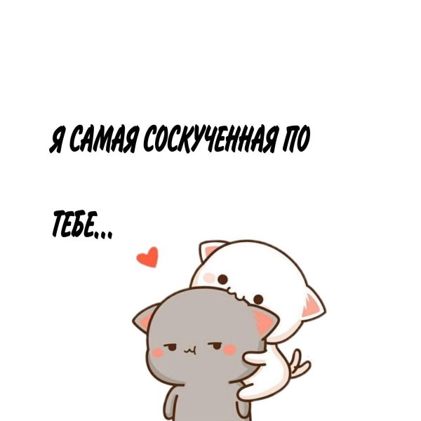 кавайные котики