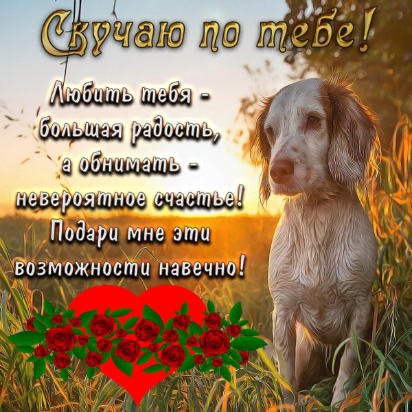 другу открытка