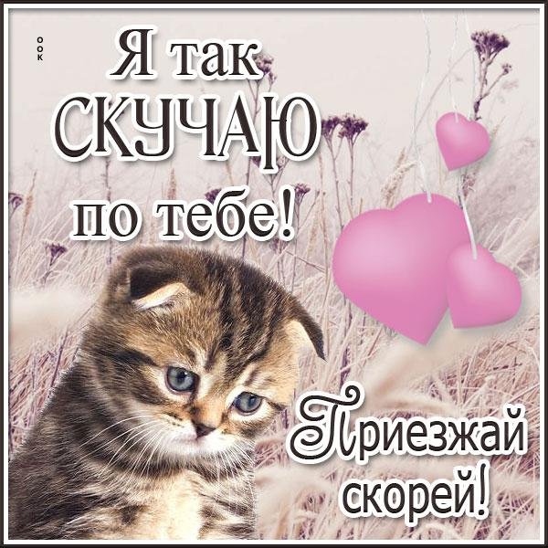 скучала по тебе